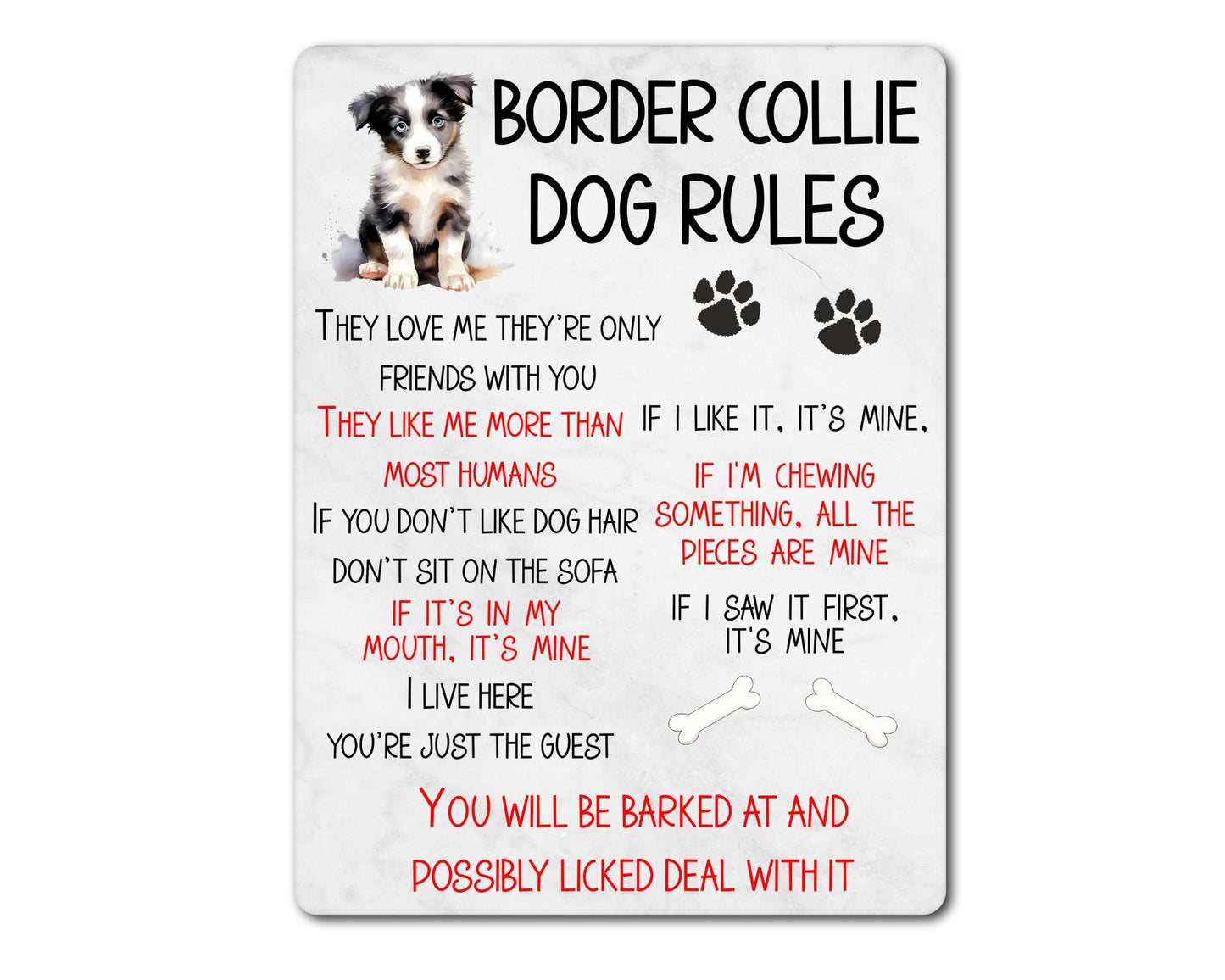 Dog Metal Sign Gift - Border Collie Rules - I Live Here You're Just The Guest - Cute Fun Novelty Family Pet Aluminium Present
