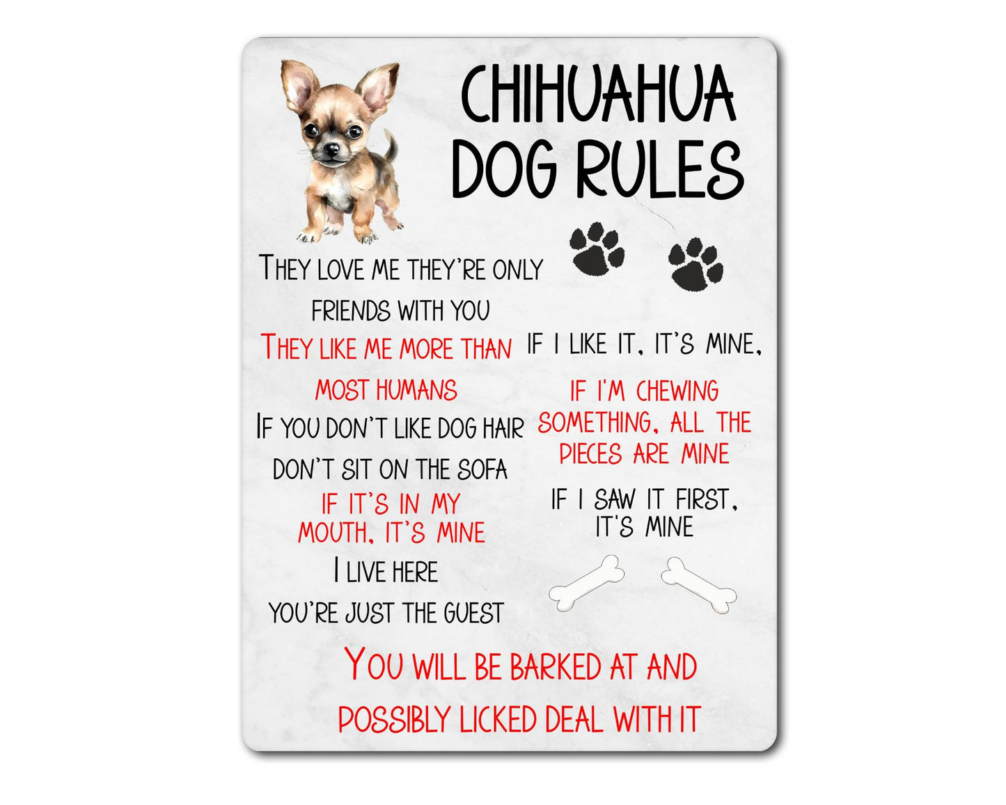 Dog Metal Sign Gift - Chihuahua Rules - I Live Here You're Just The Guest - Cute Fun Novelty Family Pet Aluminium Present