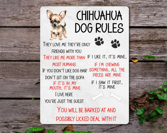 Dog Metal Sign Gift - Chihuahua Rules - I Live Here You're Just The Guest - Cute Fun Novelty Family Pet Aluminium Present