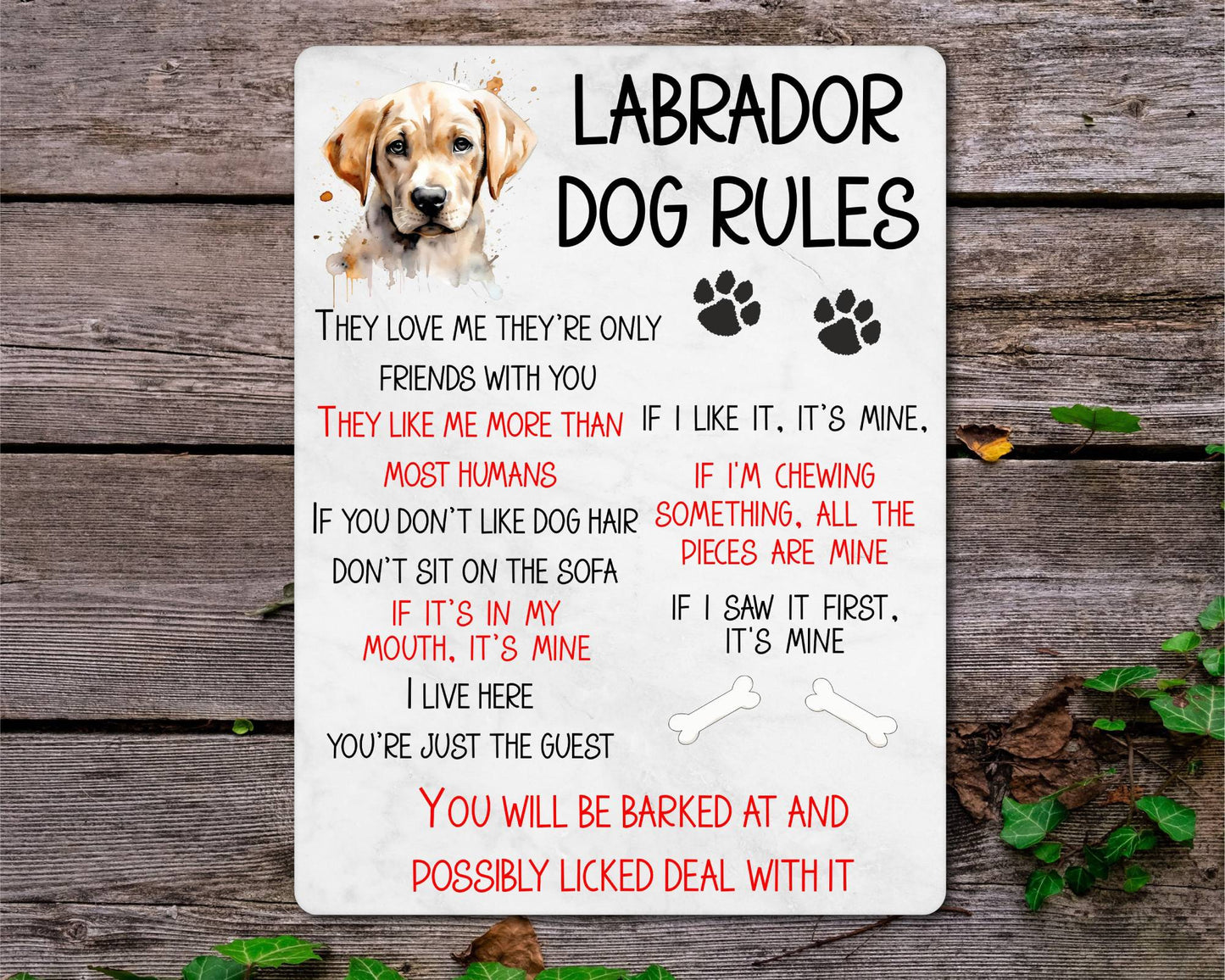 Dog Metal Sign Gift - Labrador Rules - I Live Here You're Just The Guest - Cute Fun Novelty Family Pet Aluminium Present