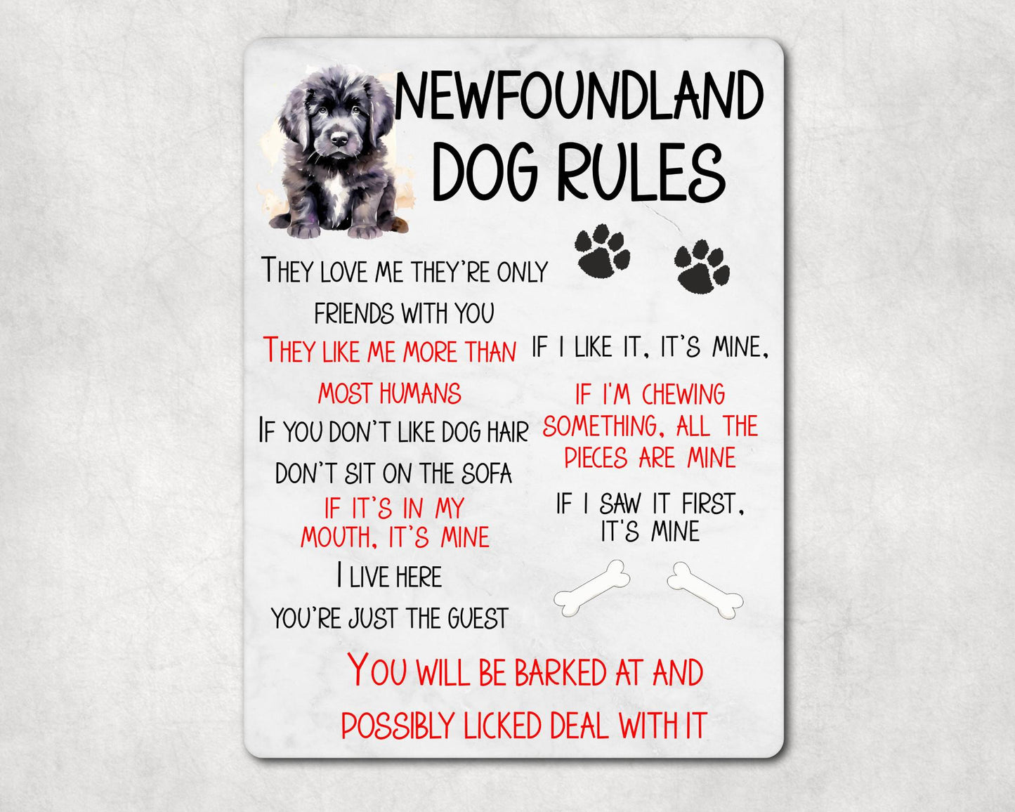 Dog Metal Sign Gift - Newfoundland Rules - I Live Here You're Just The Guest - Cute Fun Novelty Family Pet Aluminium Present