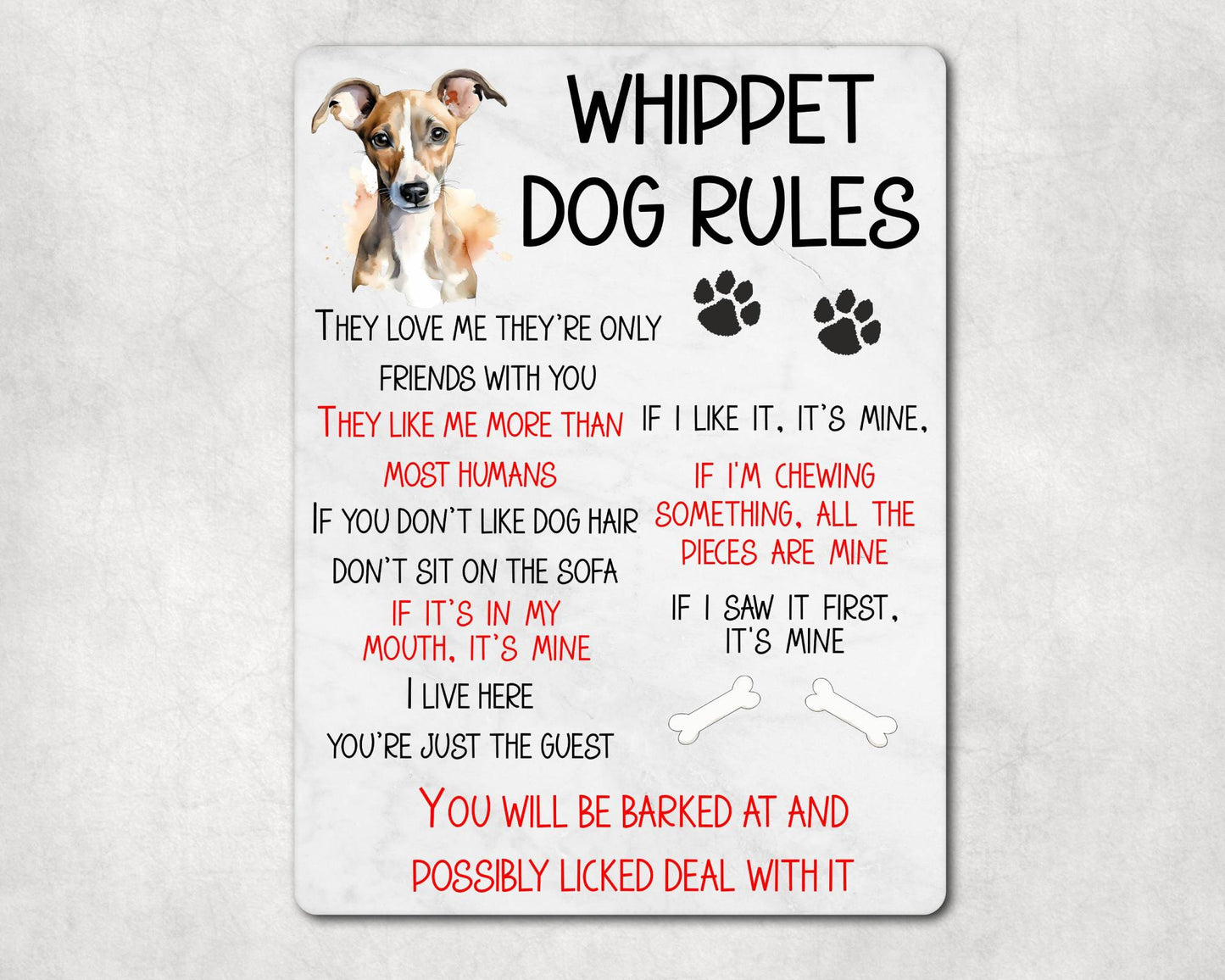 Dog Metal Sign Gift - Whippet Rules - I Live Here You're Just The Guest - Cute Fun Novelty Family Pet Aluminium Present