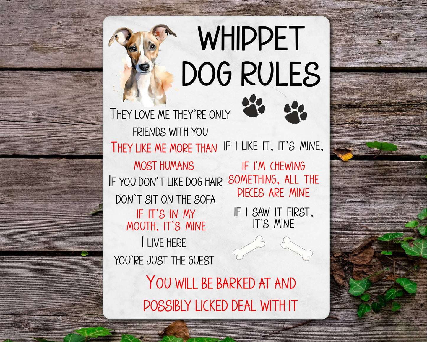 Dog Metal Sign Gift - Whippet Rules - I Live Here You're Just The Guest - Cute Fun Novelty Family Pet Aluminium Present