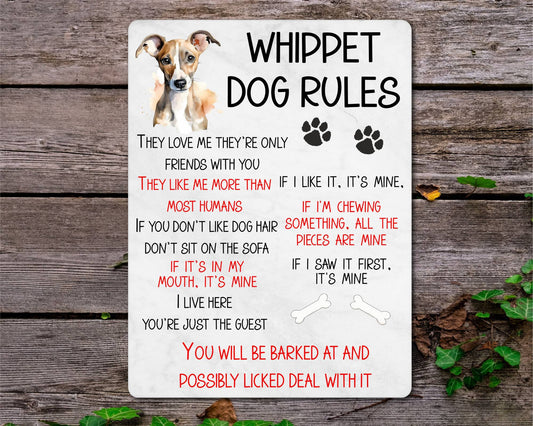 Dog Metal Sign Gift - Whippet Rules - I Live Here You're Just The Guest - Cute Fun Novelty Family Pet Aluminium Present