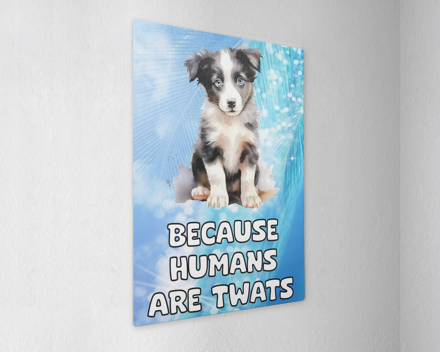 Border Collie Metal Sign Gift - Because Humans Are Twats - Cute Fun Novelty Animal Aluminium Present