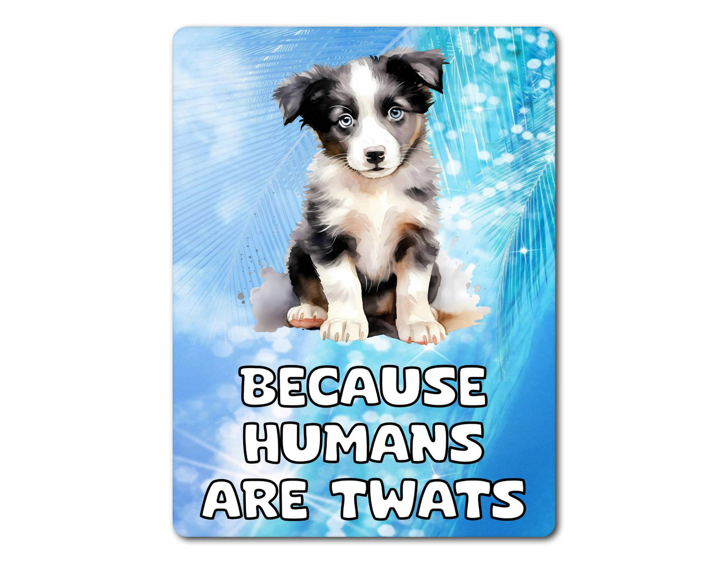 Border Collie Metal Sign Gift - Because Humans Are Twats - Cute Fun Novelty Animal Aluminium Present