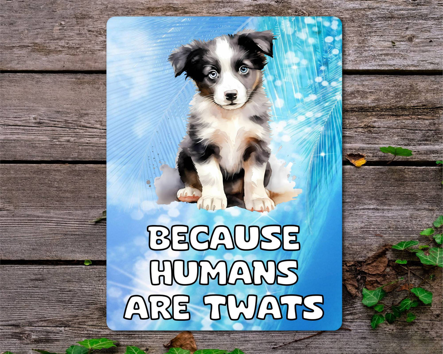 Border Collie Metal Sign Gift - Because Humans Are Twats - Cute Fun Novelty Animal Aluminium Present