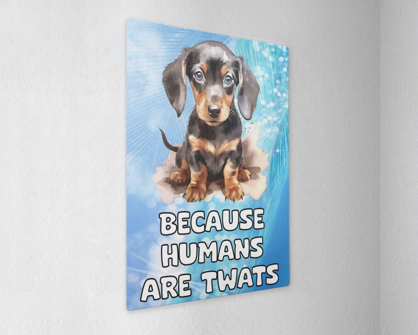 Dachshund Metal Sign Gift - Because Humans Are Twats - Cute Fun Novelty Animal  Aluminium Present
