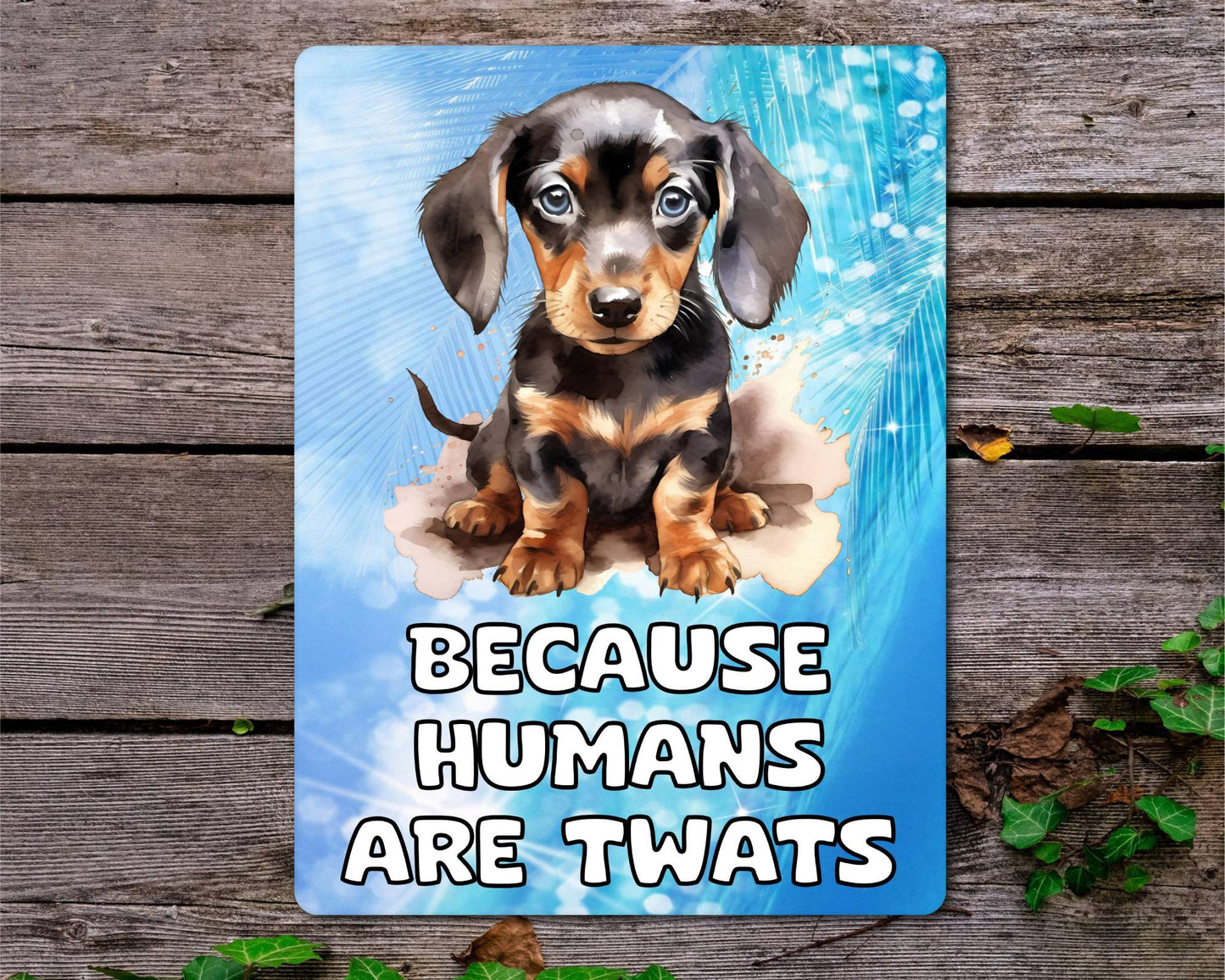 Dachshund Metal Sign Gift - Because Humans Are Twats - Cute Fun Novelty Animal  Aluminium Present