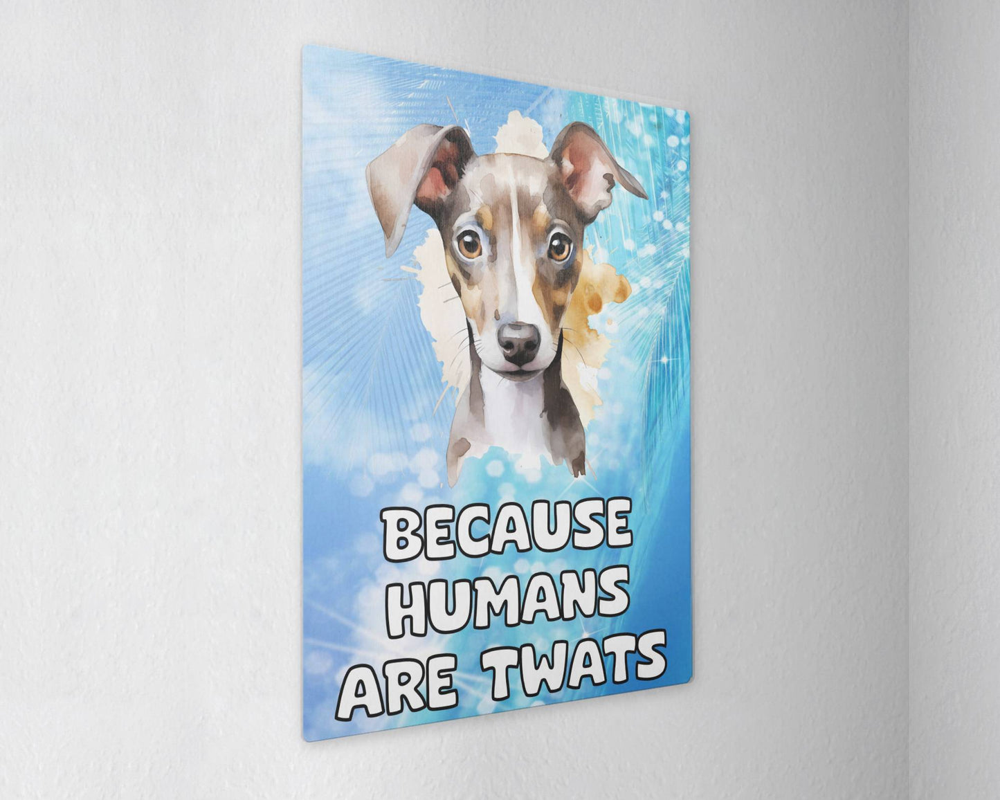 Greyhound Metal Sign Gift - Because Humans Are Twats - Cute Fun Novelty Animal Aluminium Present