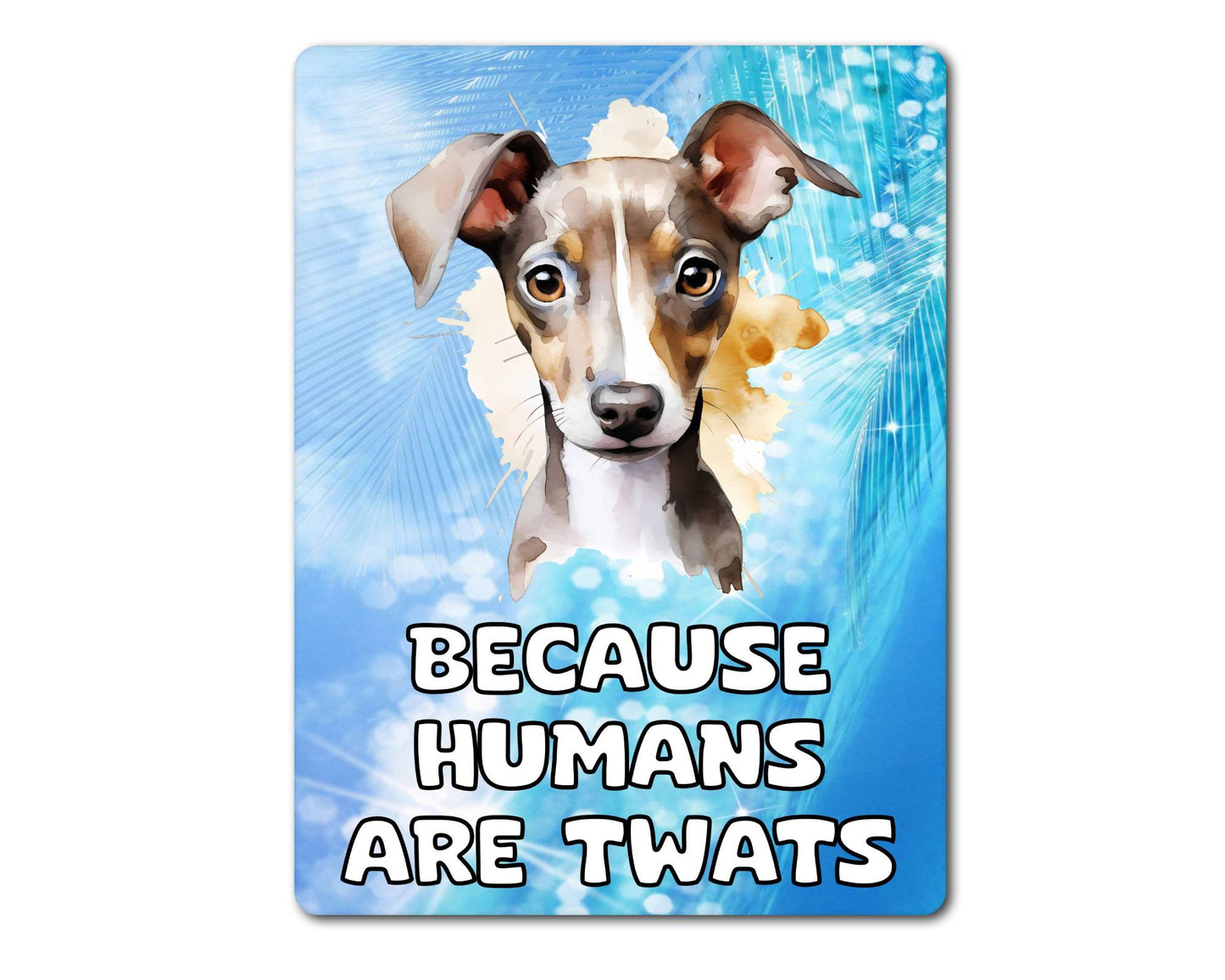 Greyhound Metal Sign Gift - Because Humans Are Twats - Cute Fun Novelty Animal Aluminium Present