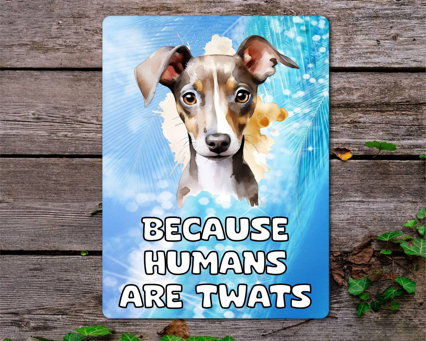 Greyhound Metal Sign Gift - Because Humans Are Twats - Cute Fun Novelty Animal Aluminium Present