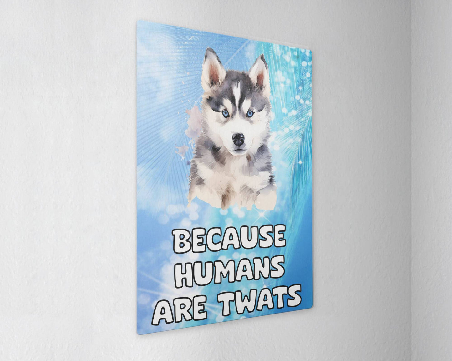 Husky Metal Sign Gift - Because Humans Are Twats - Cute Fun Novelty Animal Aluminium Present