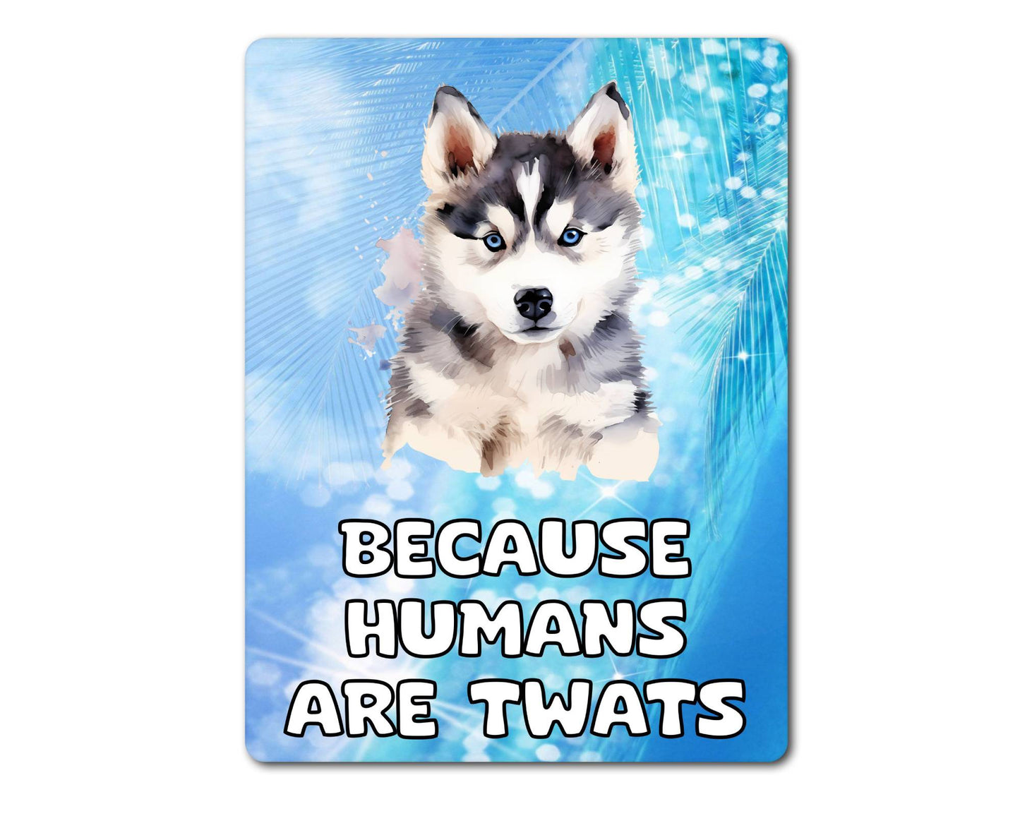 Husky Metal Sign Gift - Because Humans Are Twats - Cute Fun Novelty Animal Aluminium Present