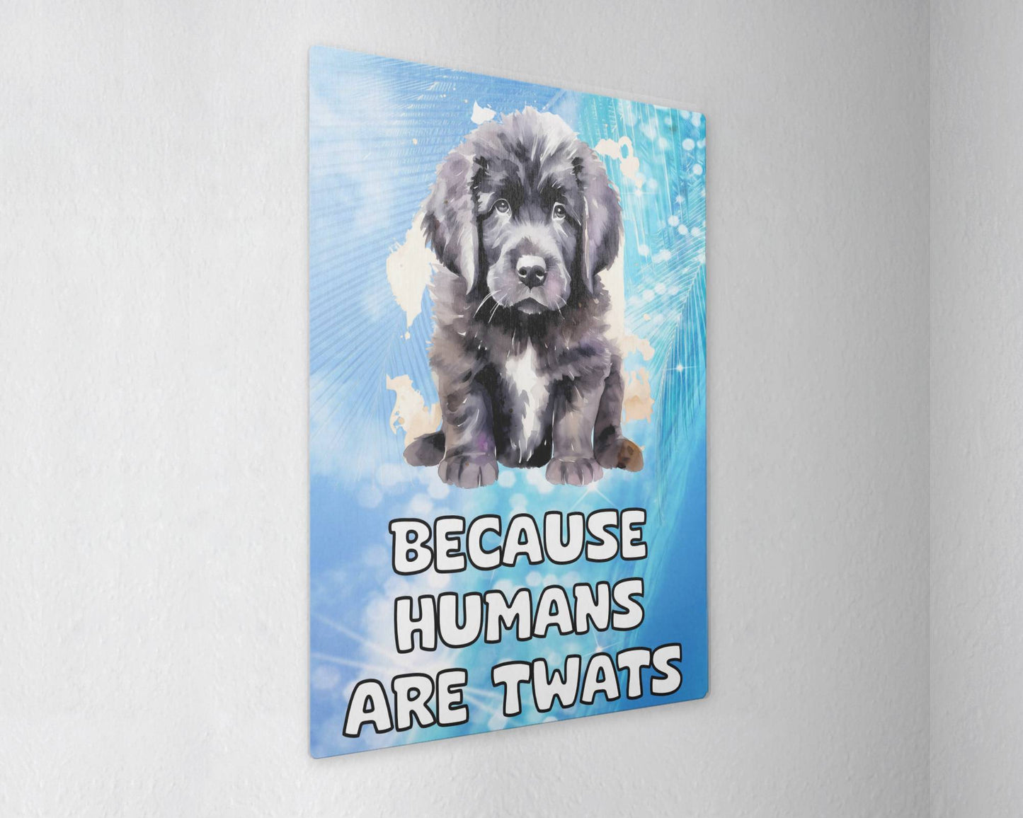 Newfoundland Metal Sign Gift - Because Humans Are Twats - Cute Fun Novelty Animal Aluminium Present