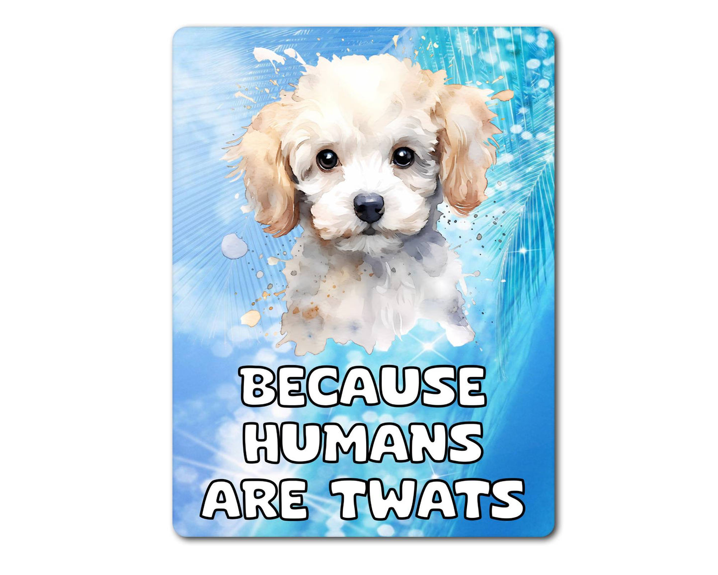 Poodle Metal Sign Gift - Because Humans Are Twats - Cute Fun Novelty Animal Aluminium Present