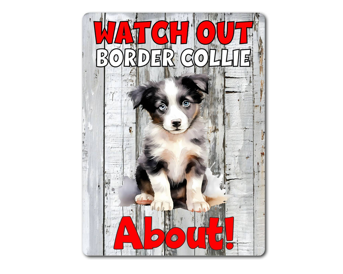 Dog Metal Sign Gift - Watch Out Border Collie About - Cute Fun Novelty Family Pet Aluminium Present