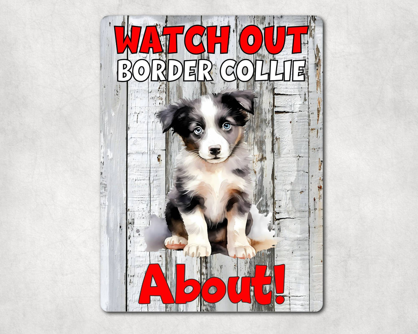 Dog Metal Sign Gift - Watch Out Border Collie About - Cute Fun Novelty Family Pet Aluminium Present