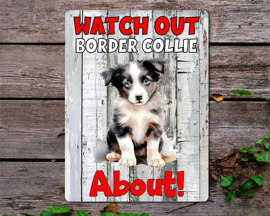 Dog Metal Sign Gift - Watch Out Border Collie About - Cute Fun Novelty Family Pet Aluminium Present