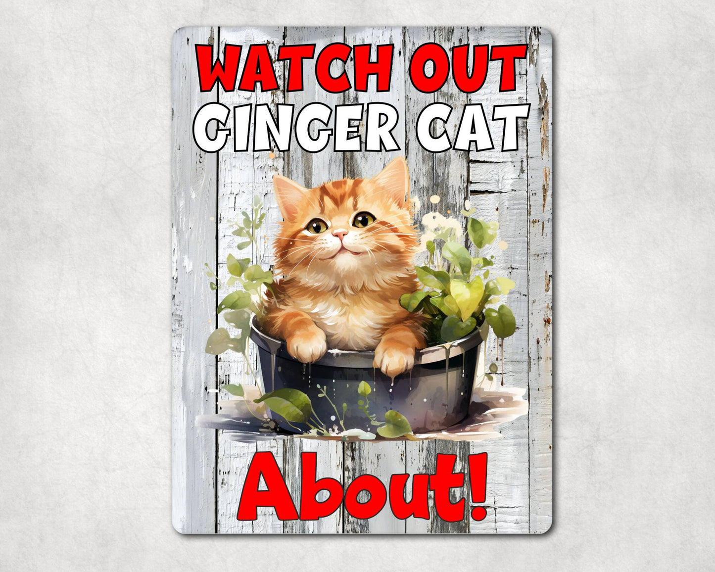 Kitten Metal Sign Gift - Watch Out Ginger Cat About - Cute Fun Novelty Family Pet Aluminium Present