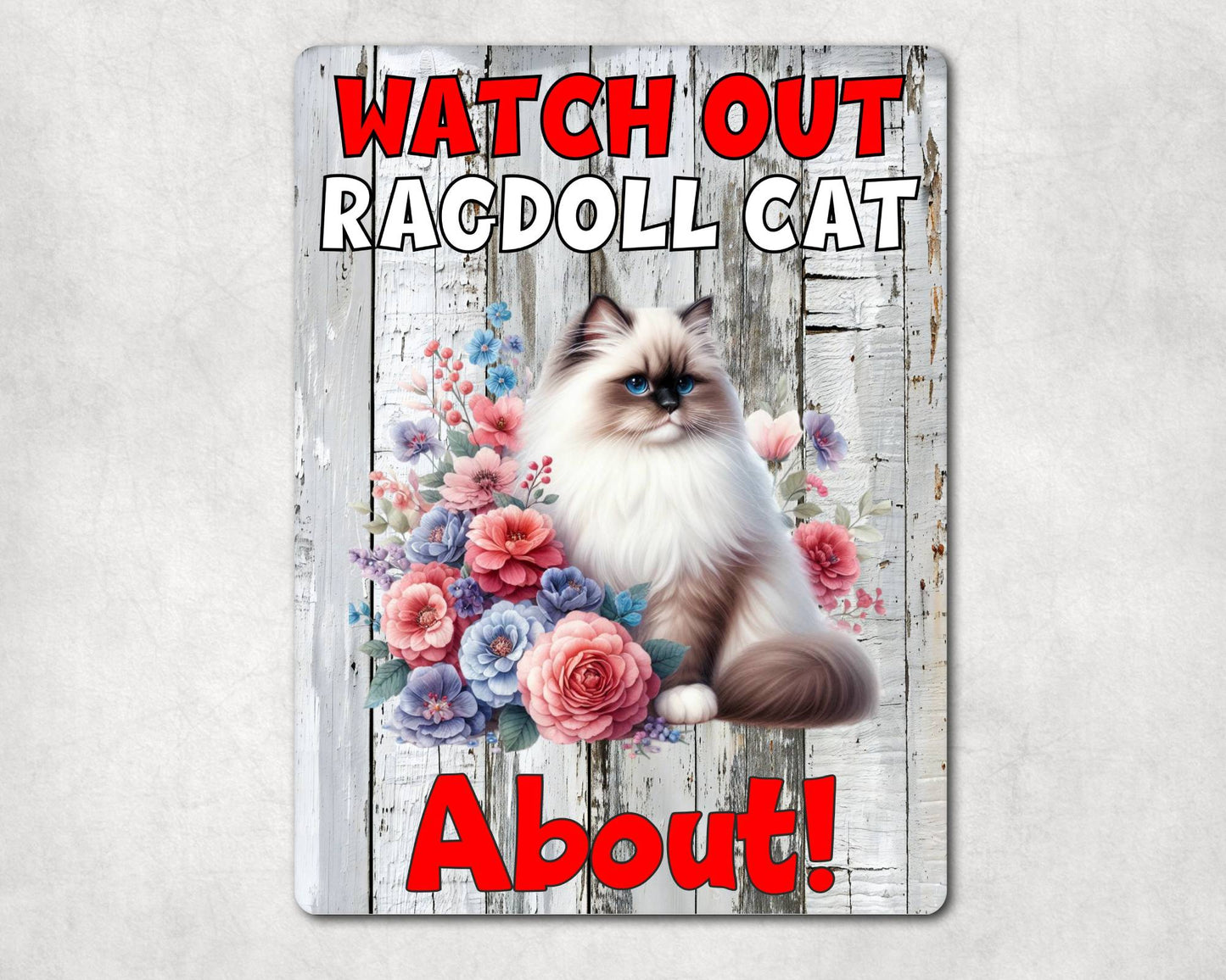 Kitten Metal Sign Gift - Watch Out Ragdoll Cat About - Cute Fun Novelty Family Pet Aluminium Present