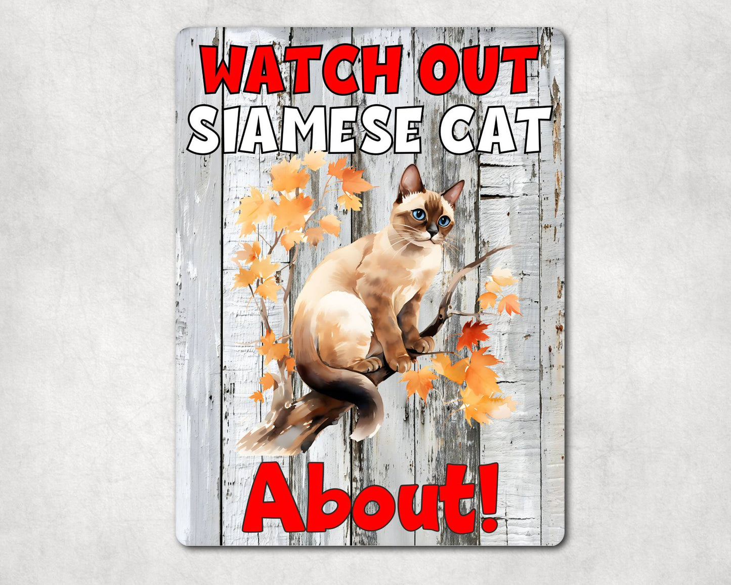 Kitten Metal Sign Gift - Watch Out Siamese Cat About - Cute Fun Novelty Family Pet Aluminium Present