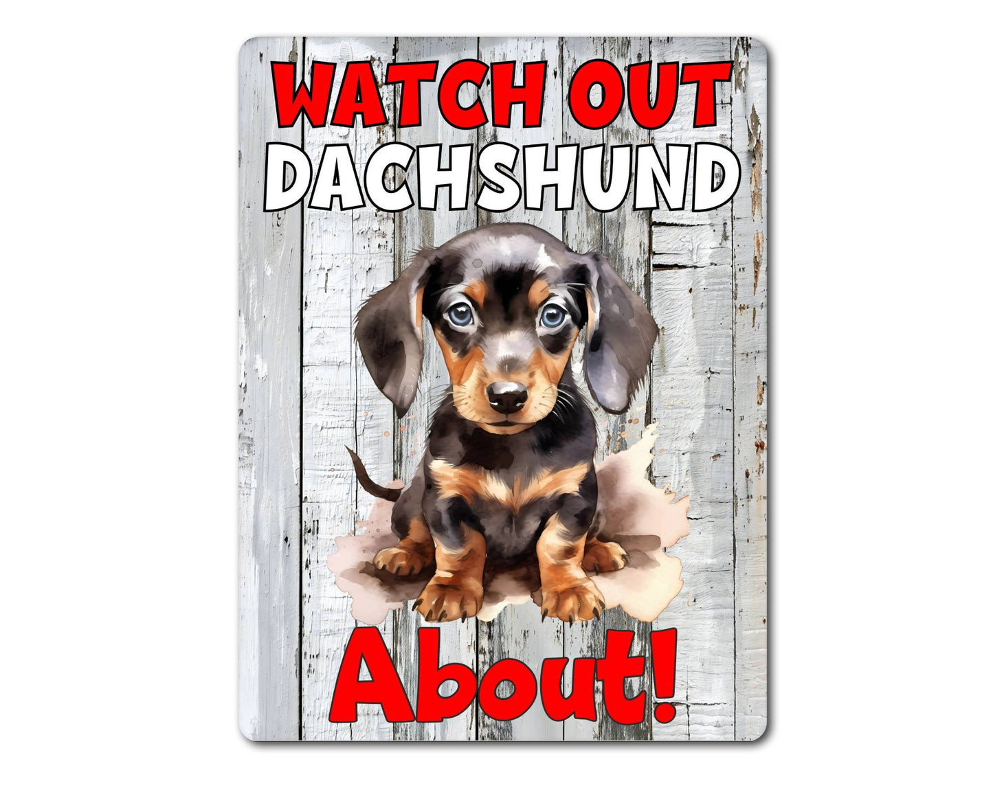 Dog Metal Sign Gift - Watch Out Dachshund About - Cute Fun Novelty Family Pet Aluminium Present