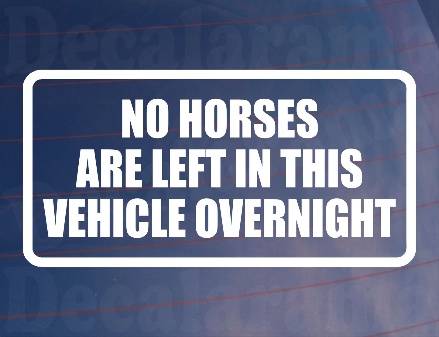 Car Sticker No Horses Are Left In Vehicle Overnight Funny Window Bumper Boot Door Decal Gift Present