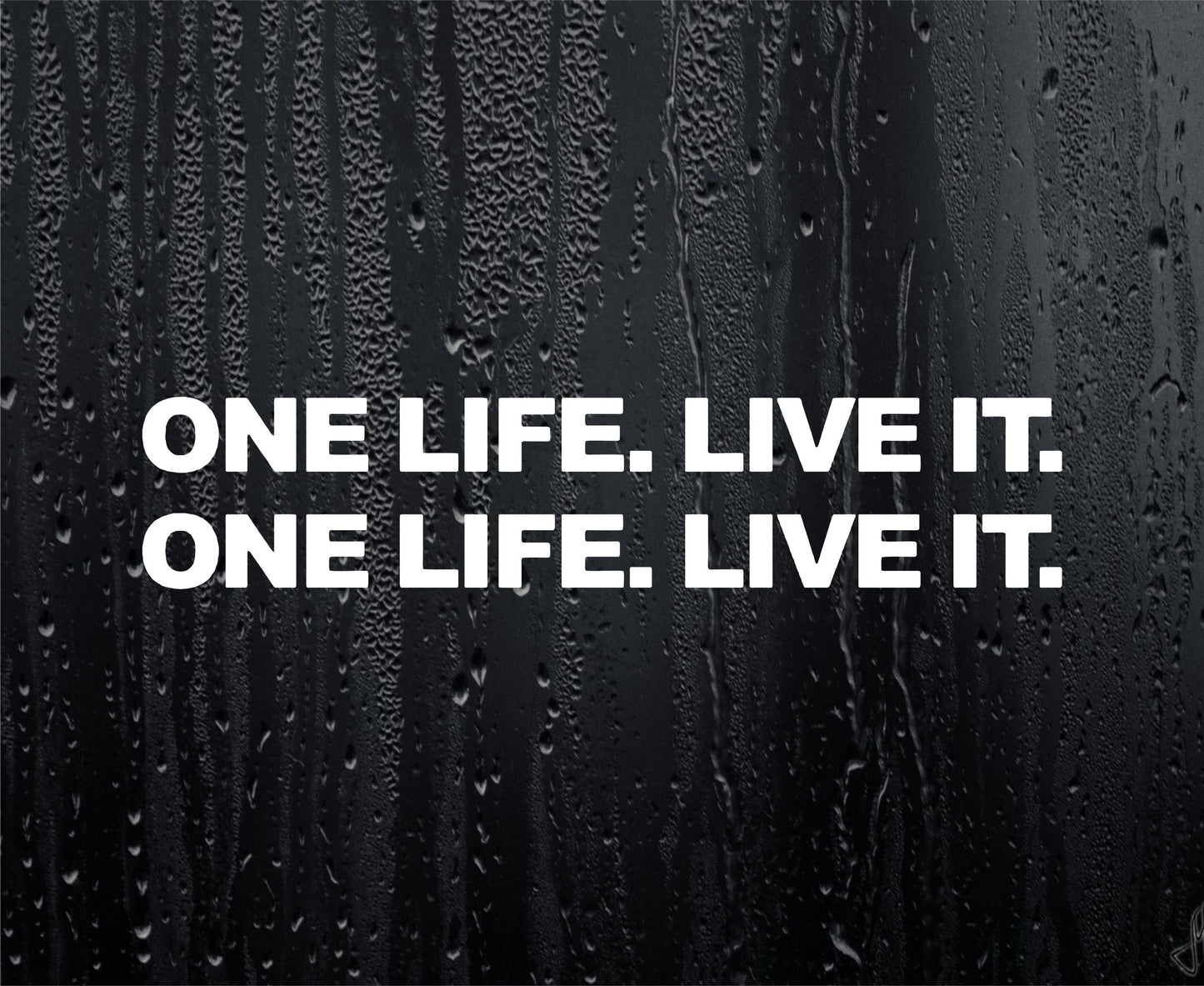 2x Car Stickers One Life Live It Funny Joke Off-Road 4x4 4WD Off Road Truck Bumper Boot Door Window Decal - Small
