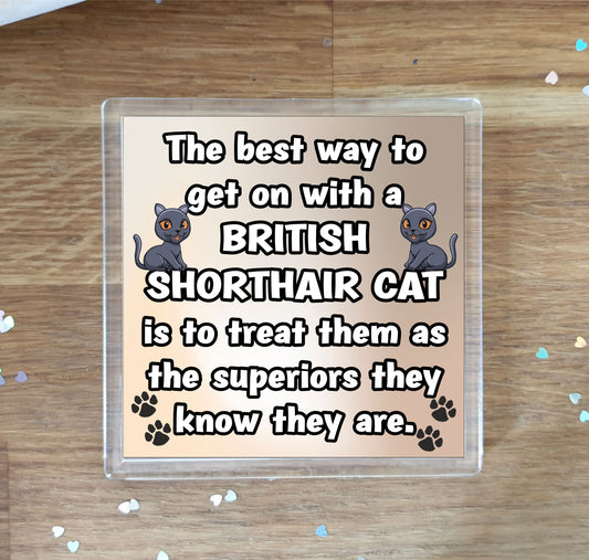 British Shorthair Cat Coaster Gift - The Best Way To Get On With A - Novelty Fun Cute Pet Owner Birthday Christmas Present