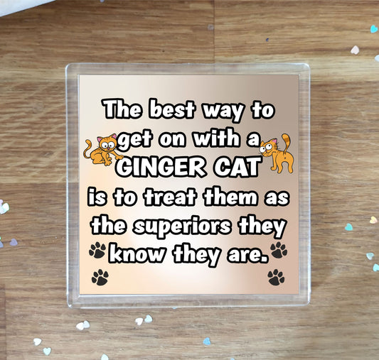 Ginger Cat Coaster Gift - The Best Way To Get On With A - Novelty Fun Cute Pet Owner Birthday Christmas Present