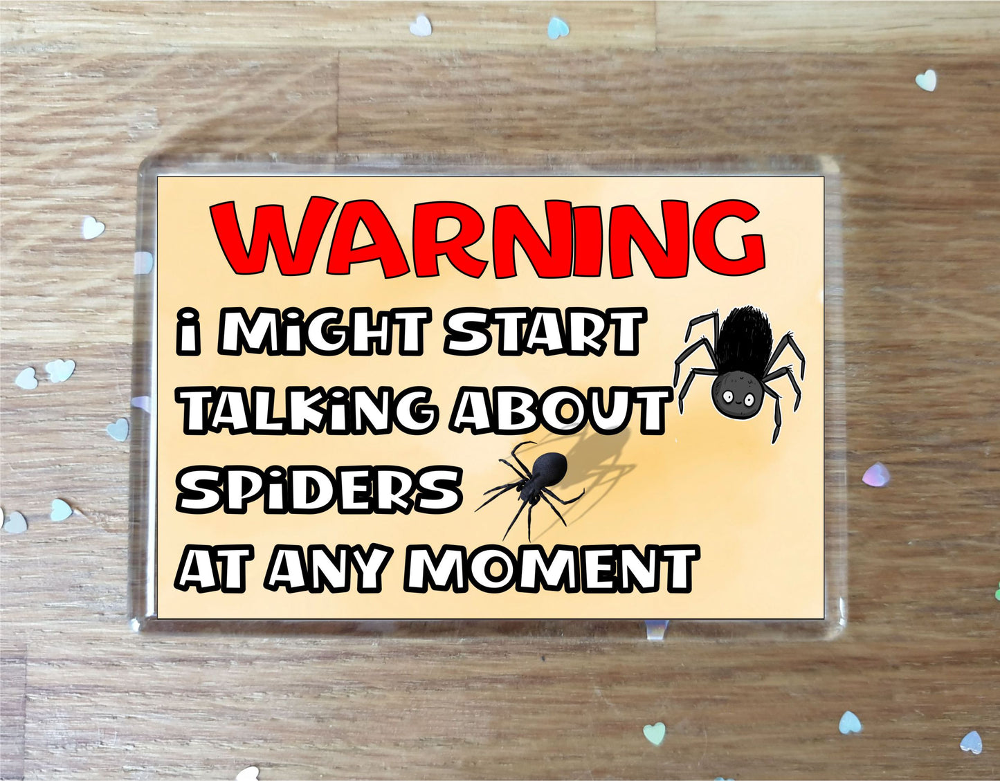 Spider Fridge Magnet Gift - Warning I Might Start Talking About * At Any Moment - Fun Cute Novelty Animal Present