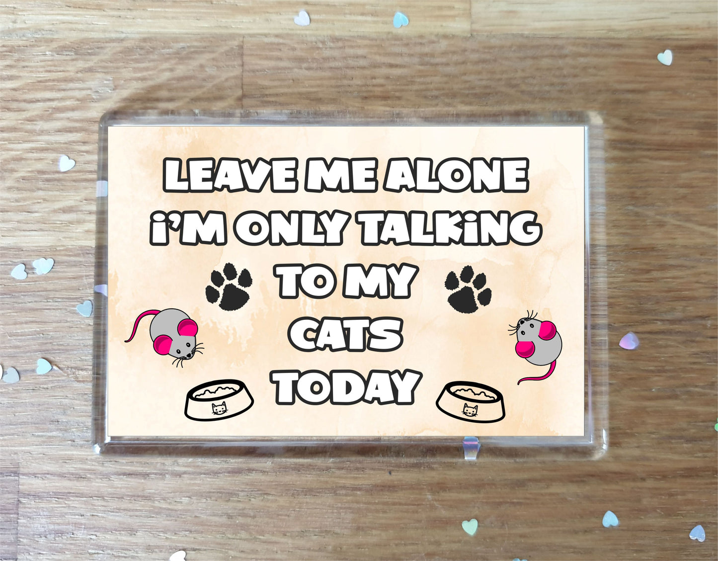 Cat Fridge Magnet Gift - Leave Me Alone I'm Only Talking To My Cat Today - Novelty Fun Cute Pet Owner Present