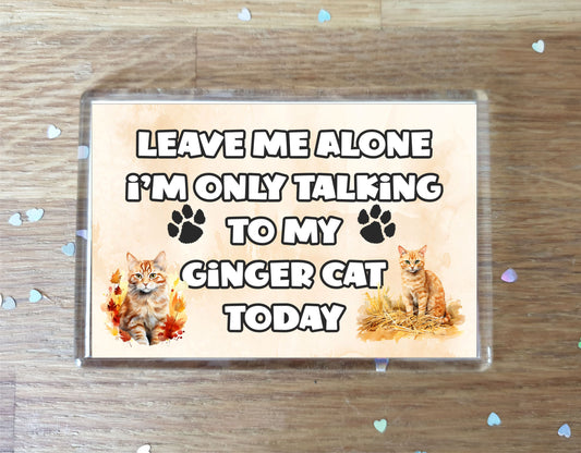 Cat Fridge Magnet Gift - Leave Me Alone I'm Only Talking To My Ginger Cat Today - Novelty Fun Cute Pet Owner Present