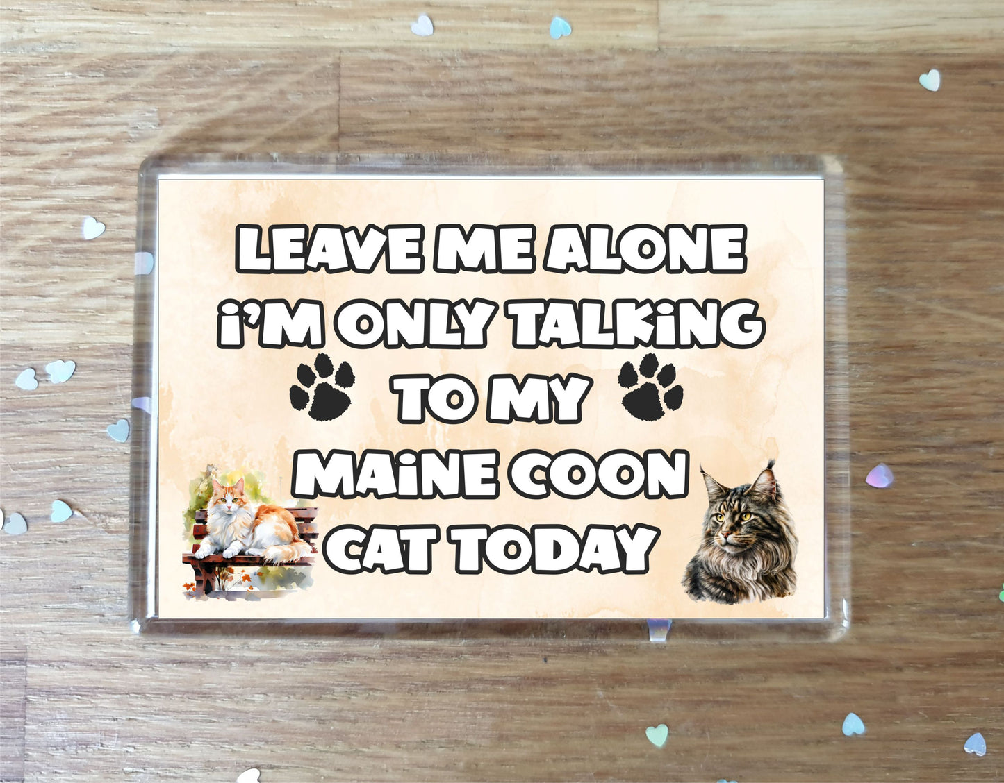 Cat Fridge Magnet Gift - Leave Me Alone I'm Only Talking To My Maine Coon Cat Today - Novelty Fun Cute Pet Owner Present
