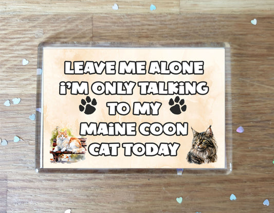 Cat Fridge Magnet Gift - Leave Me Alone I'm Only Talking To My Maine Coon Cat Today - Novelty Fun Cute Pet Owner Present