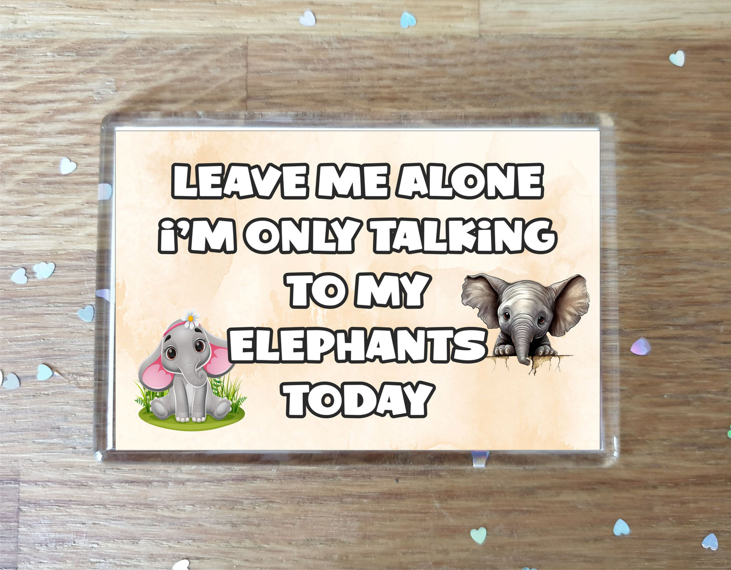 Elephant Fridge Magnet Gift - Leave Me Alone I'm Only Talking To My * Today - Novelty Cute Bird Animal Present