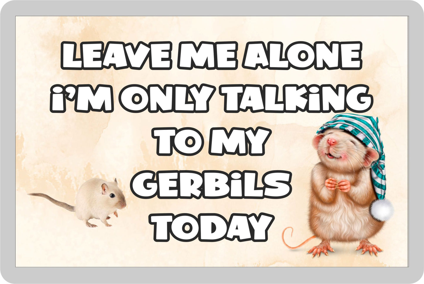 Gerbil Fridge Magnet Gift - Leave Me Alone I'm Only Talking To My * Today - Novelty Cute Bird Animal Present