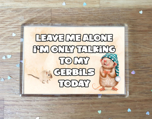 Gerbil Fridge Magnet Gift - Leave Me Alone I'm Only Talking To My * Today - Novelty Cute Bird Animal Present