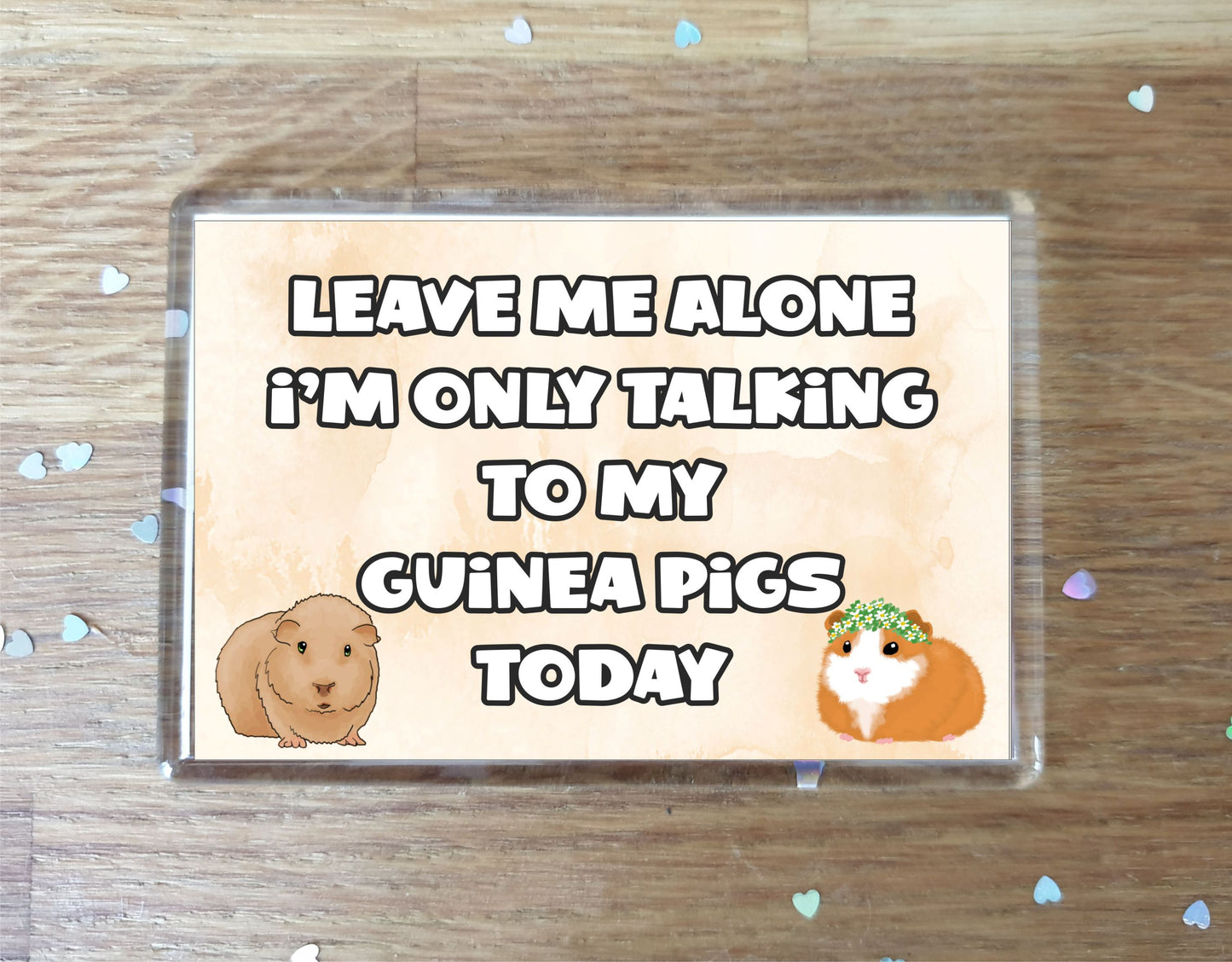 Guinea Pig Fridge Magnet Gift - Leave Me Alone I'm Only Talking To My * Today - Novelty Cute Bird Animal Present