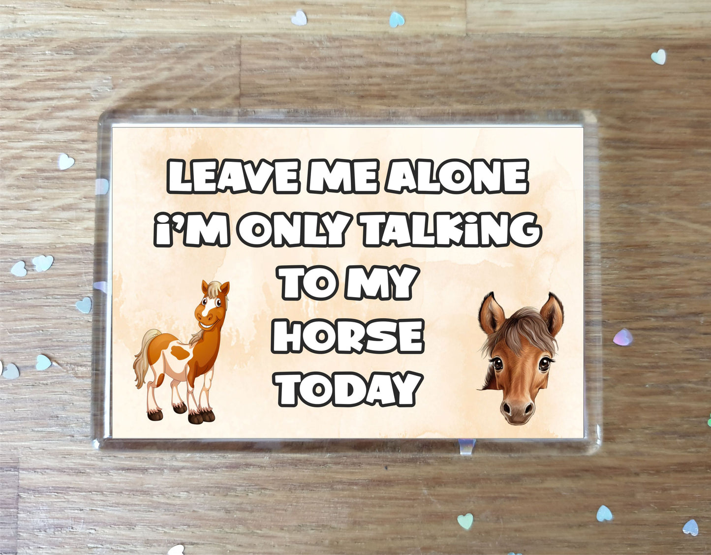 Horse Fridge Magnet Gift - Leave Me Alone I'm Only Talking To My * Today - Novelty Cute Bird Animal Present