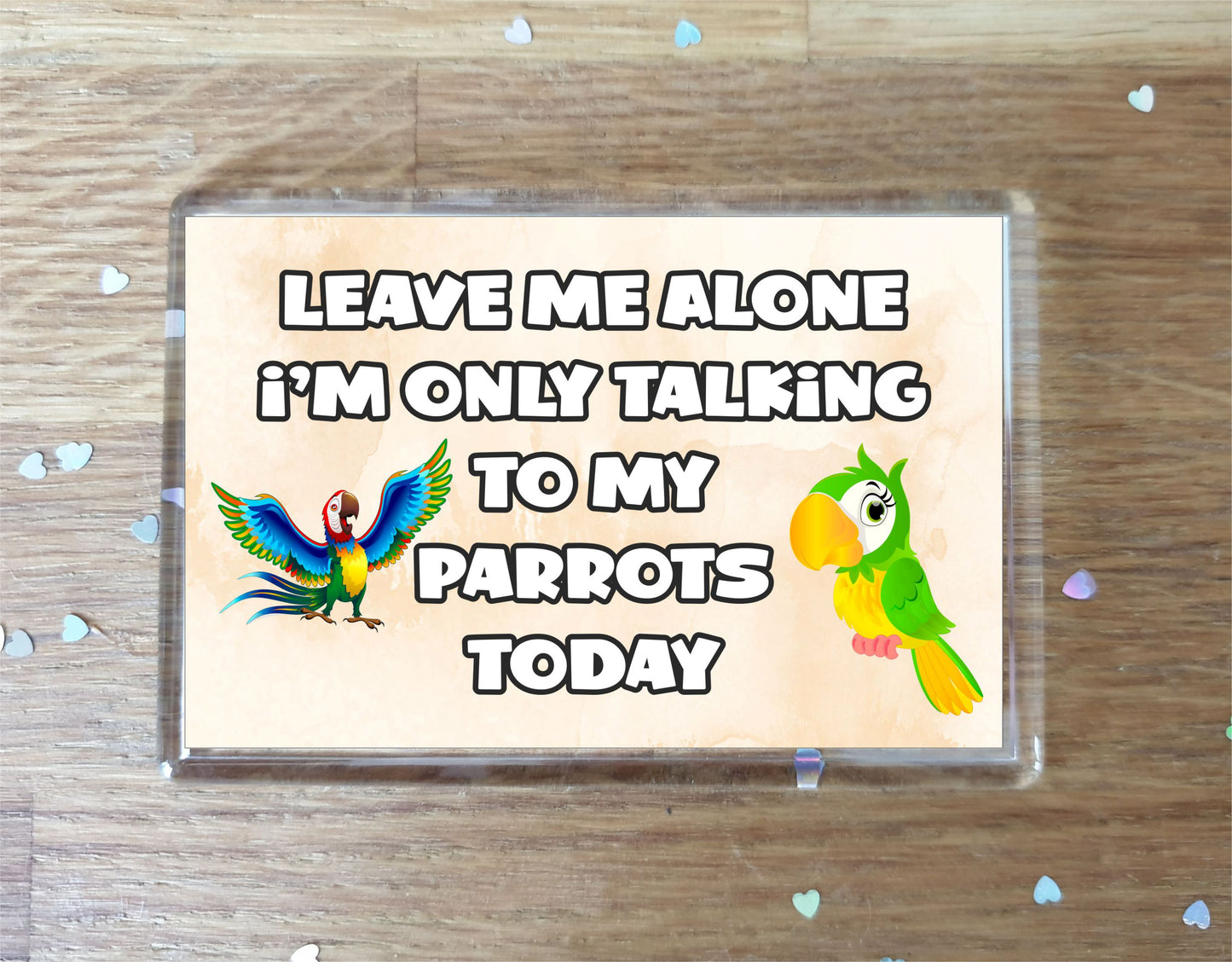 Parrot Fridge Magnet Gift - Leave Me Alone I'm Only Talking To My * Today - Novelty Cute Bird Animal Present