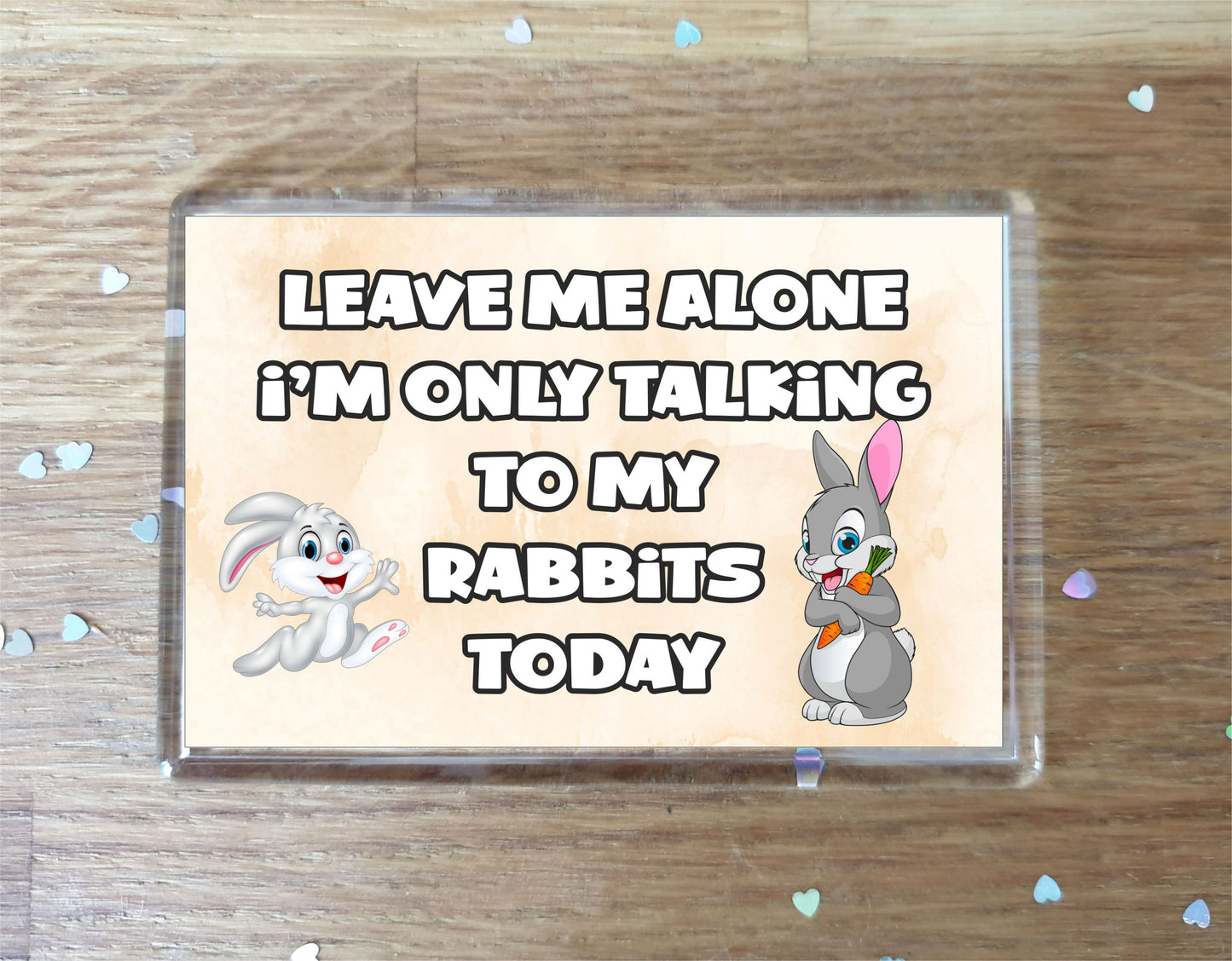 Rabbit Fridge Magnet Gift - Leave Me Alone I'm Only Talking To My * Today - Novelty Cute Animal Present