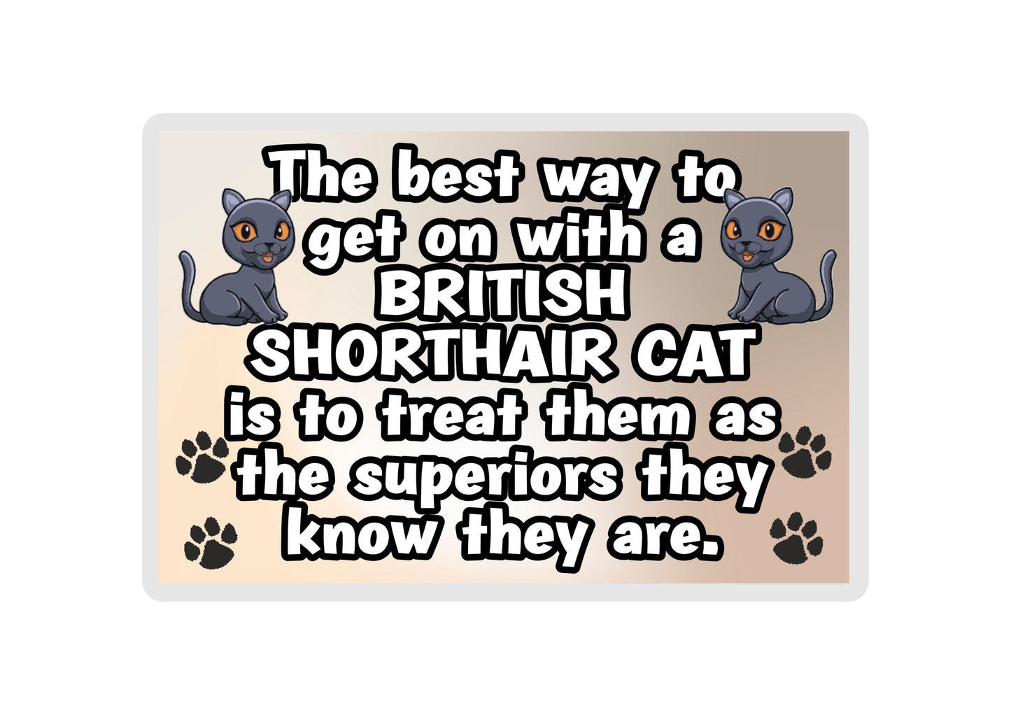 British Shorthair Cat Fridge Magnet Gift -The best Way To Get On With A - Novelty Fun Cute Pet Owner Birthday Christmas Present