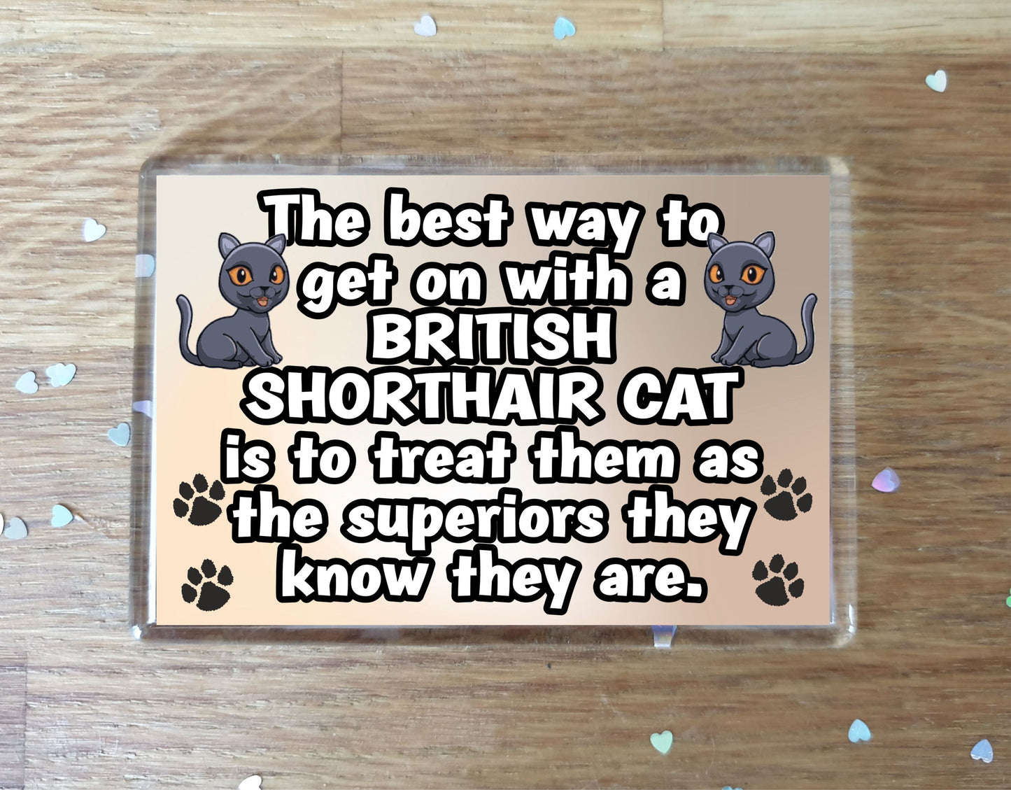 British Shorthair Cat Fridge Magnet Gift -The best Way To Get On With A - Novelty Fun Cute Pet Owner Birthday Christmas Present