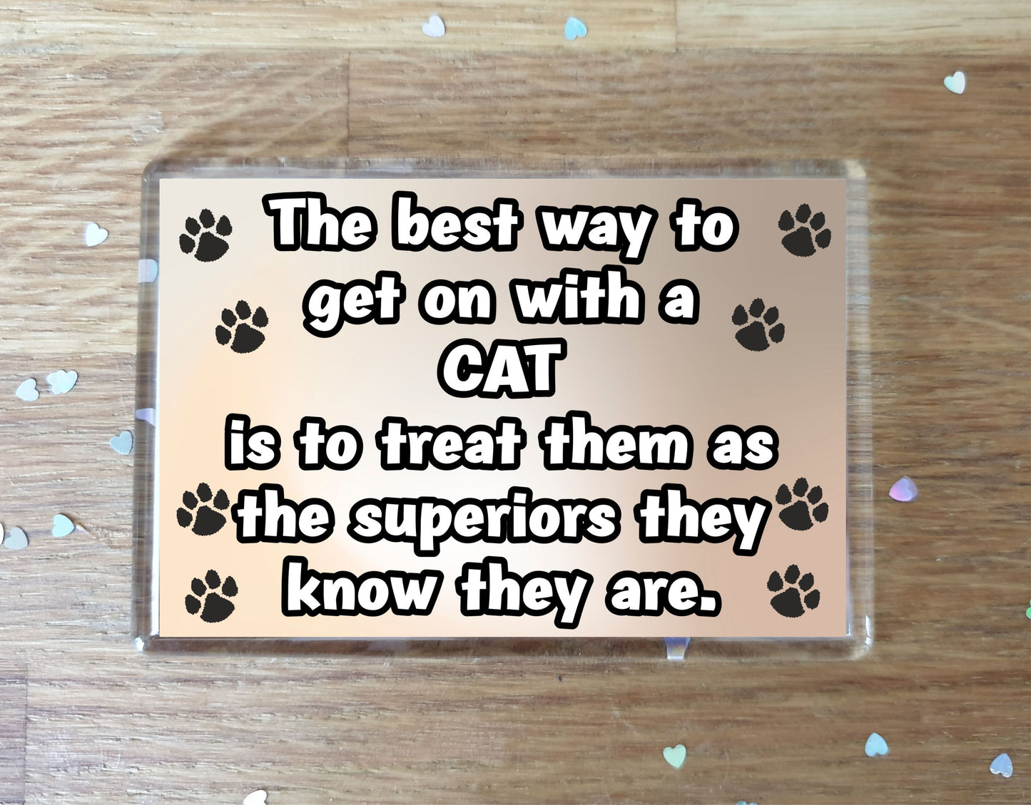 Cat Fridge Magnet Gift -The best Way To Get On With A - Novelty Fun Cute Pet Owner Birthday Christmas Present