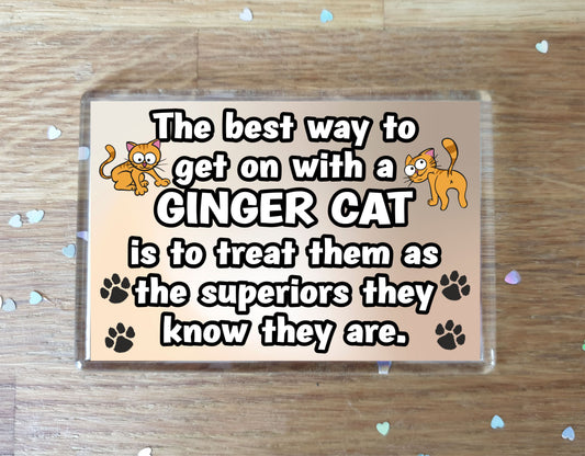 Ginger Cat Fridge Magnet Gift -The best Way To Get On With A - Novelty Fun Cute Pet Owner Birthday Christmas Present