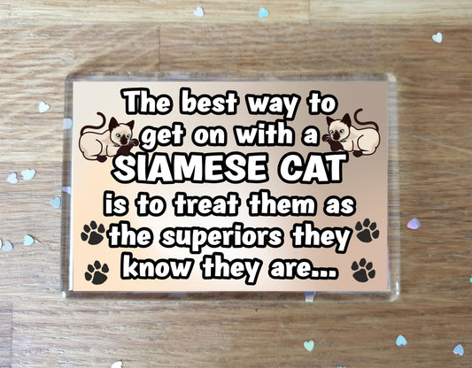Siamese Cat Fridge Magnet Gift -The best Way To Get On With A - Novelty Fun Cute Pet Owner Birthday Christmas Present