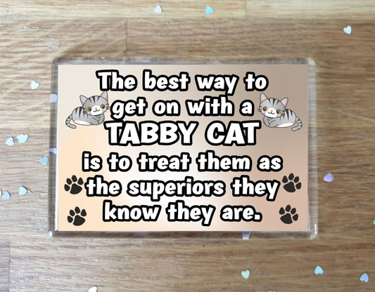 Tabby Cat Fridge Magnet Gift -The best Way To Get On With A - Novelty Fun Cute Pet Owner Birthday Christmas Present