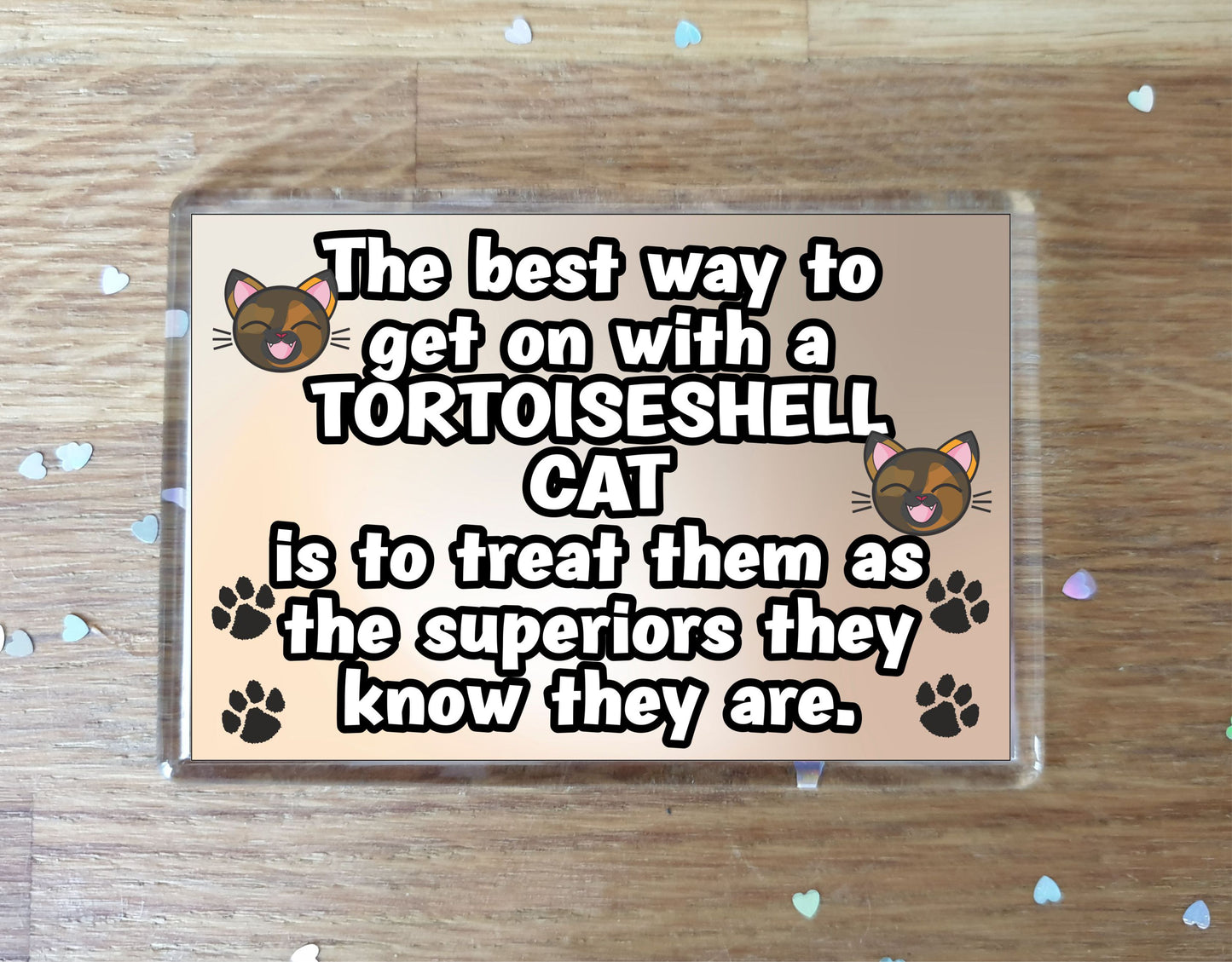Tortoiseshell Cat Fridge Magnet Gift - The best Way To Get On With A - Novelty Fun Cute Pet Owner Birthday Christmas Present